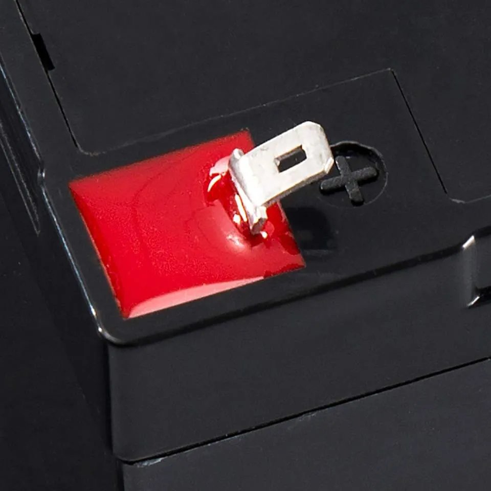 Access Lock RBAT4 12V 4.5Ah Alarm Replacement Battery