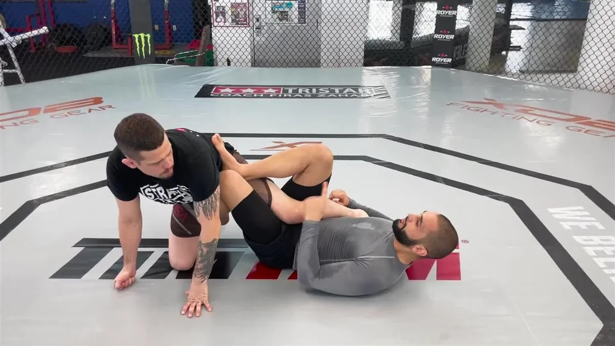 Ashi Garami (Leg Entanglements) Made Easy by Firas Zahabi