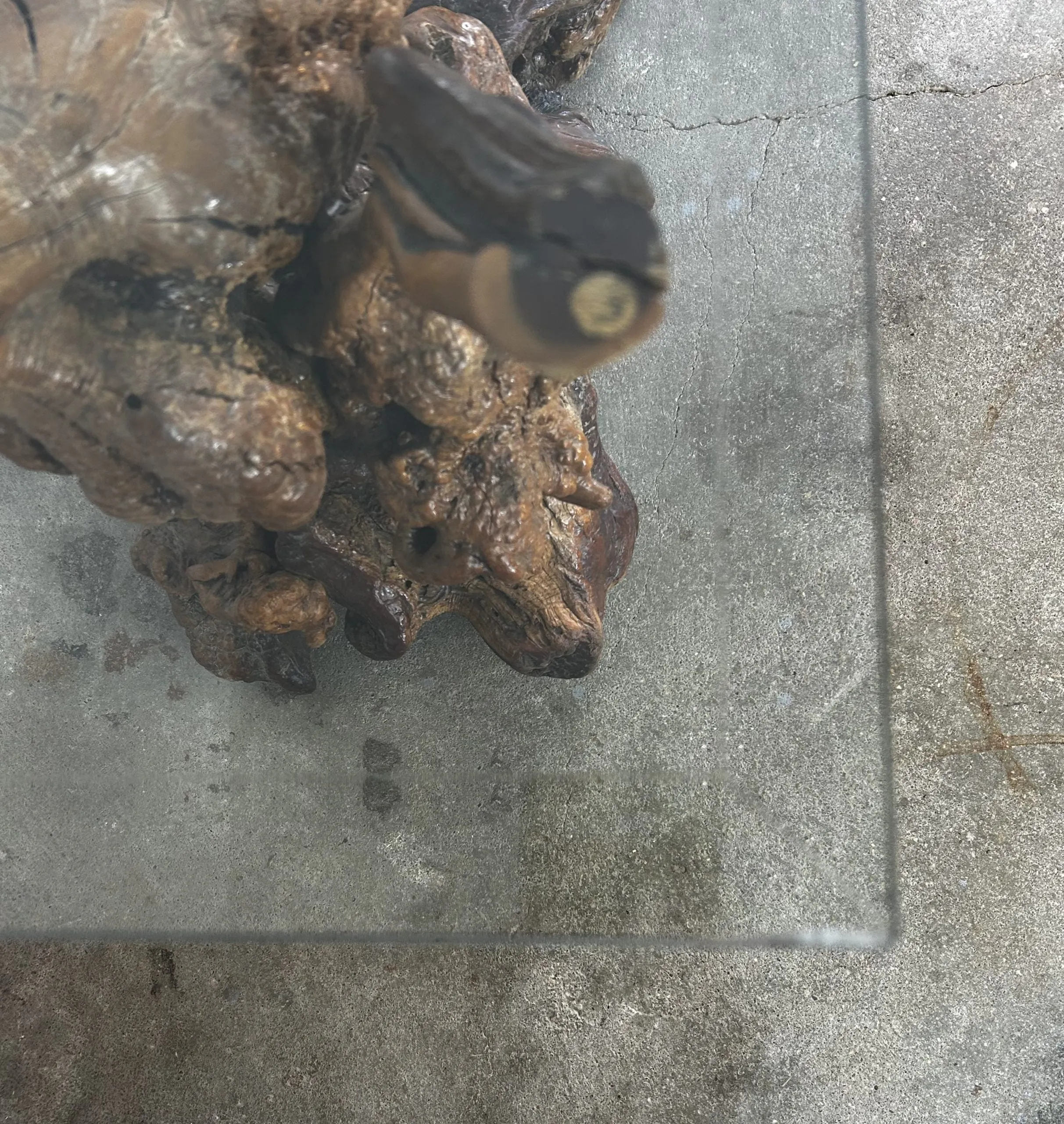 Burled Wood Root Table with Beveled Glass Top, One of a Kind, Entry Table, Console Table