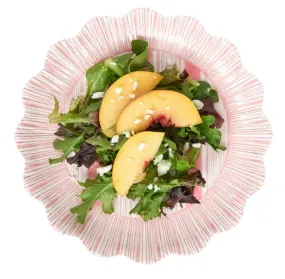 Juliska- Cabana Stripe Melamine Dessert/Salad Plate Set/4 - Coral
