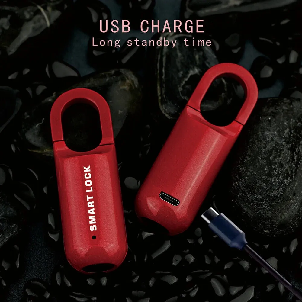 Mini Smart Biometric Fingerprint Padlock Keyless Travel Case Backpack