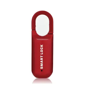 Mini Smart Biometric Fingerprint Padlock Keyless Travel Case Backpack