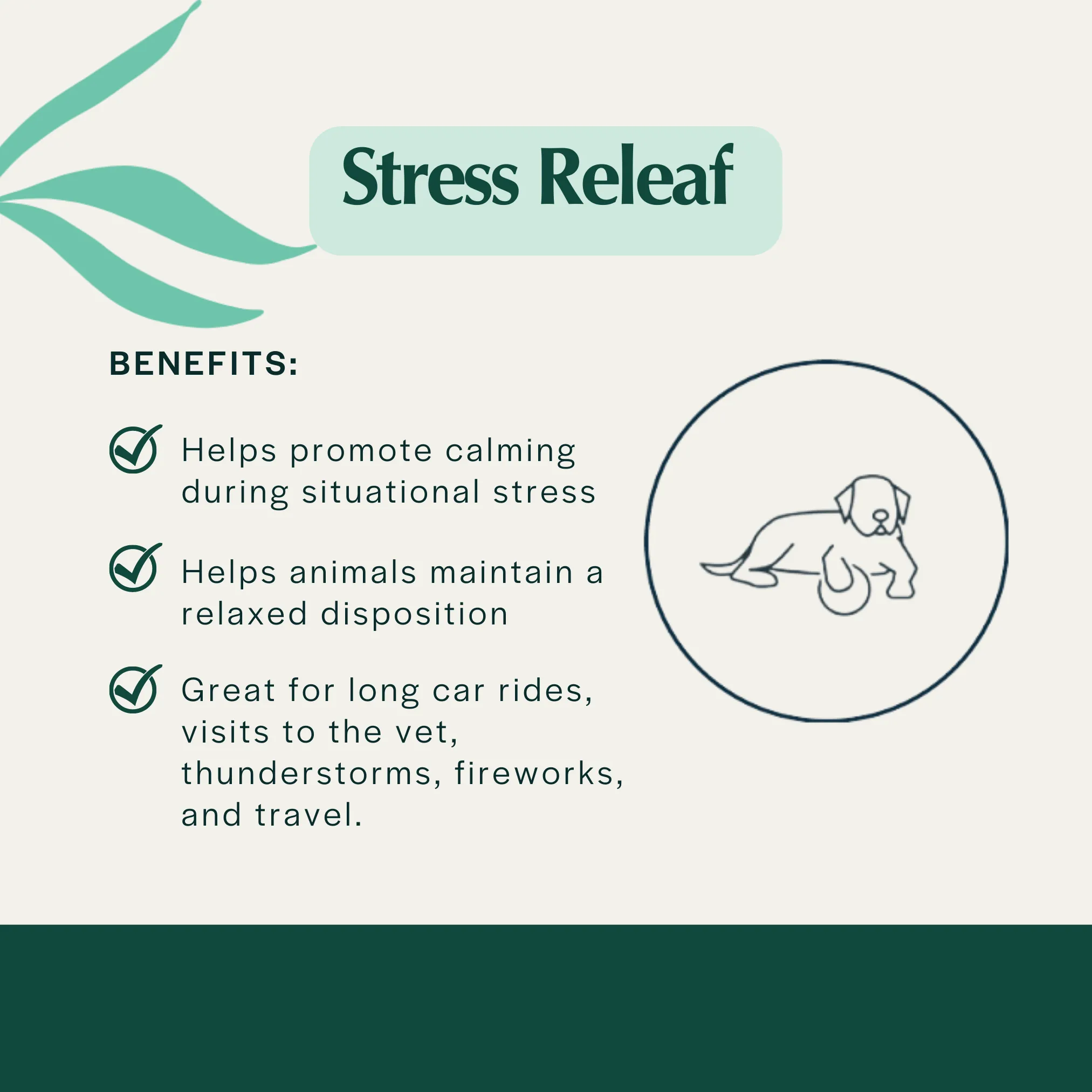 Pet Releaf Stress Releaf Edibites Peppered Bacon Flavor for Medium & Large Dogs