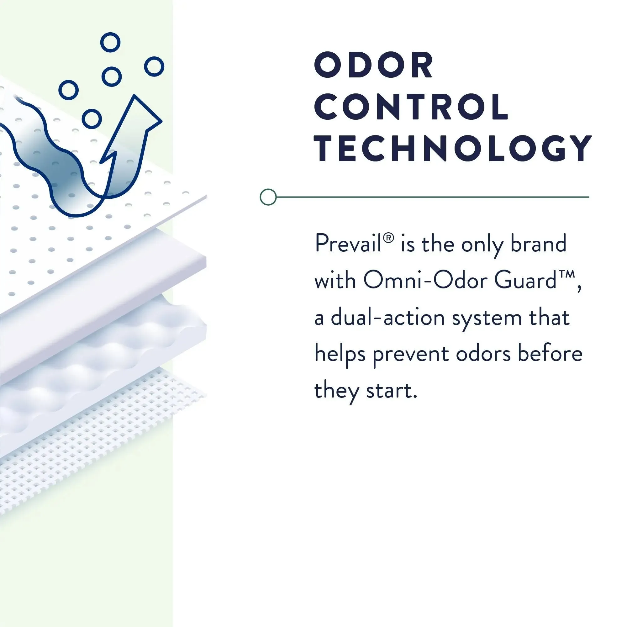 Prevail® Overnight Absorbent Underwear, Extra Large