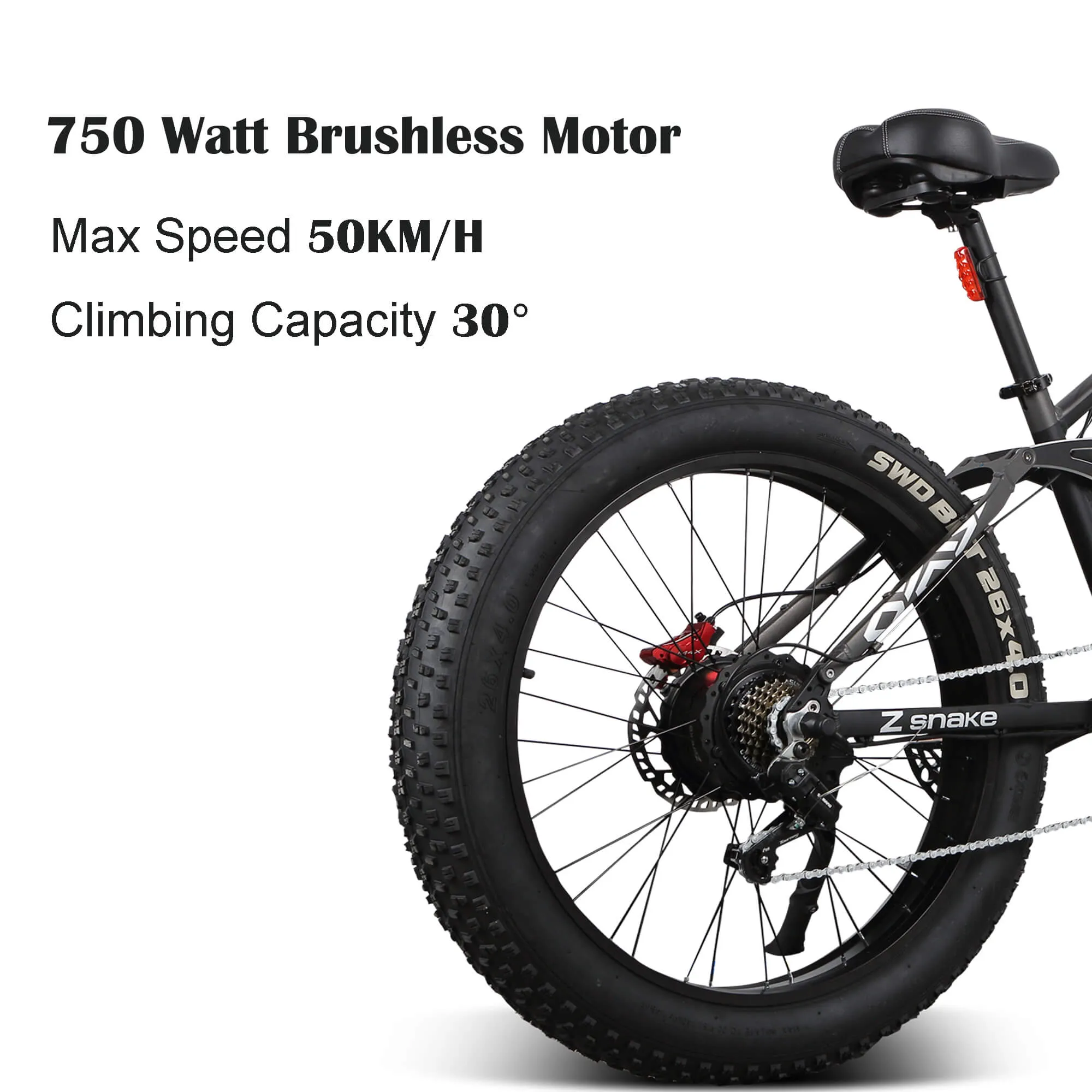 ZSNAKE E6 750W Electric Bike for Adults, 30 MPH with 48V 26 inch Fat off Road Vacuum Tires